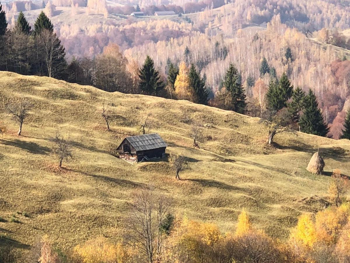 La Maison Des Reves - Bran Bran  Eksteriør bilde